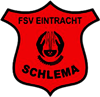 Wappen ehemals FSV Eintracht Schlema 1949  48238