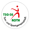 Wappen TSG 08 Roth II  56857