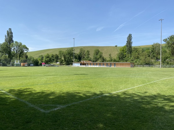 Stade Municipal du Moulin - La Plaine