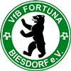 Wappen VfB Fortuna Biesdorf 1905 diverse  45866