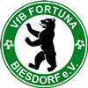 Wappen VfB Fortuna Biesdorf 1905 diverse