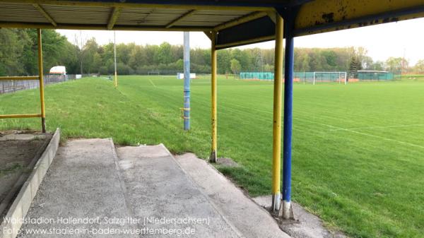 Waldstadion - Salzgitter-Hallendorf