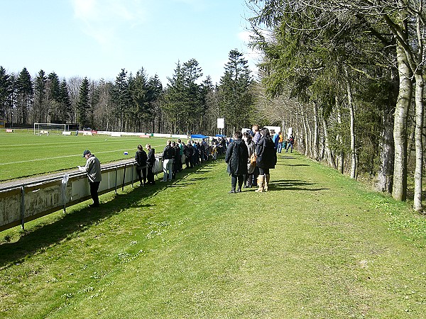 DS Arena - Hobro