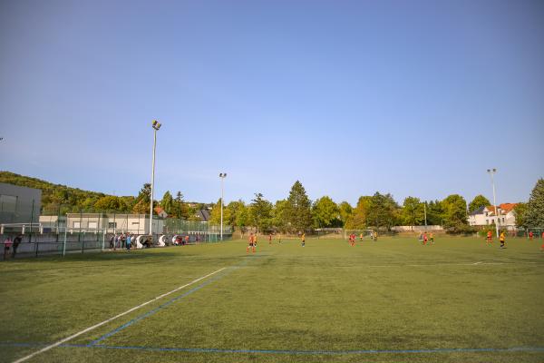Stade du Guentrange terrain annexe 2 - Thionville