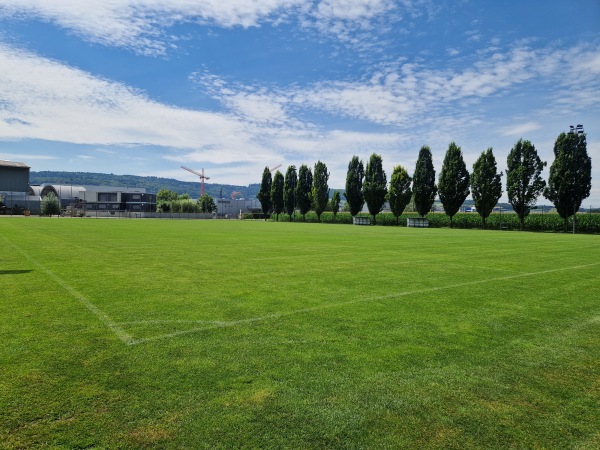 Sportzentrum Niedermatten Nebenplatz 2 - Wohlen