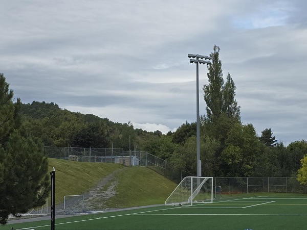 Doug Sweetapple Field - Corner Brook, NL