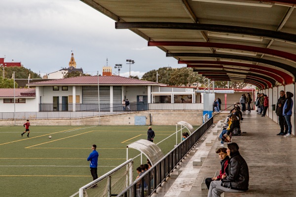 Camp del Pla II - Alcácer (Alcàsser), VC
