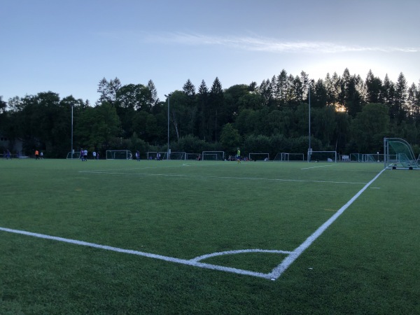 Ferd stadion - Oslo
