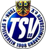 Wappen TSV Grävenwiesbach 1908 diverse