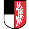 Wappen SV Worblingen 1946  42158