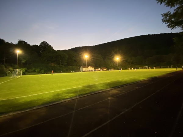 Sportplatz St. Martin - St. Martin/Pfalz