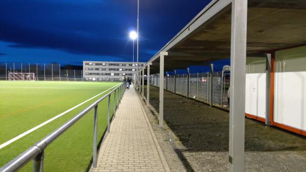 Erlenmattenstadion Nebenplatz 1 - Bad Krozingen 
