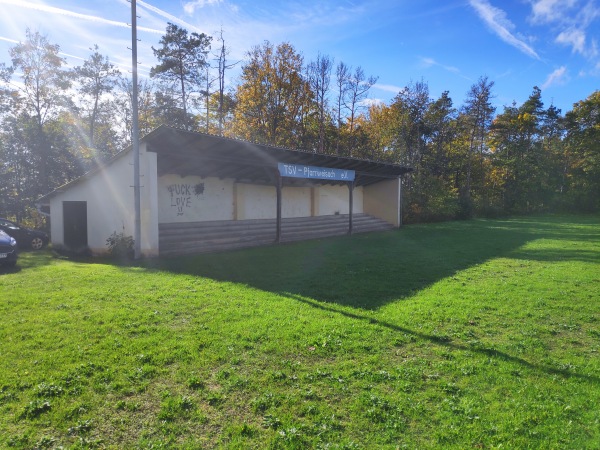 Sportanlage Pfarrweisach Platz 2 - Pfarrweisach