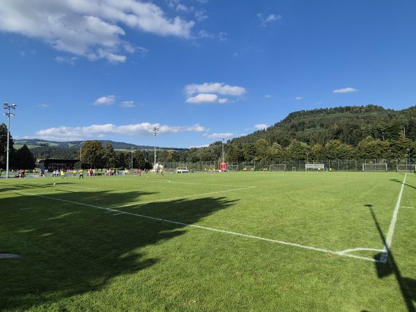 Sportplatz Lättich Platz 2 - Baar