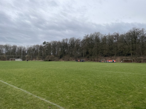 Sportpark De Pinkenberg veld 5-DVOV - Rozendaal