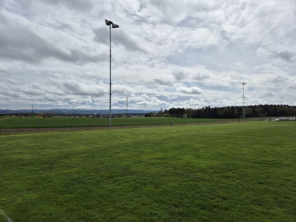 Sportplatz Riedweg Nord - Grafenried