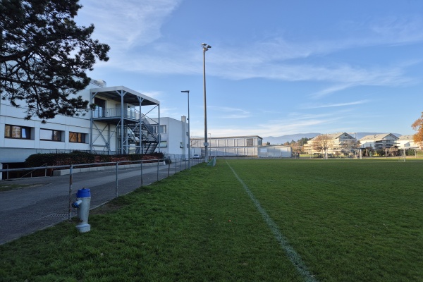 Terrain de Chaucey - Coppet