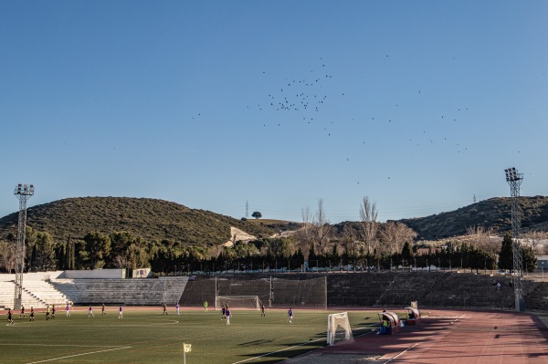 Estadio Municipal de Torres de la Alameda - Torres de la Alameda, MD