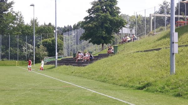 Sportplatz Chalchbüel - Richterswil