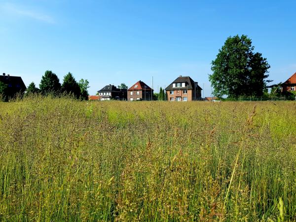 Sportplatz Dörholtstraße - Hamm/Westfalen-Bockum-Hövel