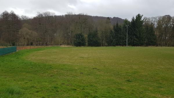 Sportplatz am Elisabethpark - Bad Liebenstein