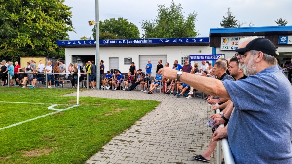 Sportanlage an der Petersberghalle - Gau-Odernheim