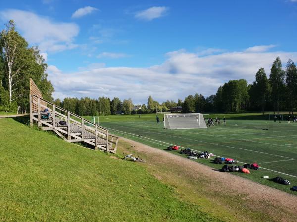 Susivouti 2 tekonurmi - Rovaniemi
