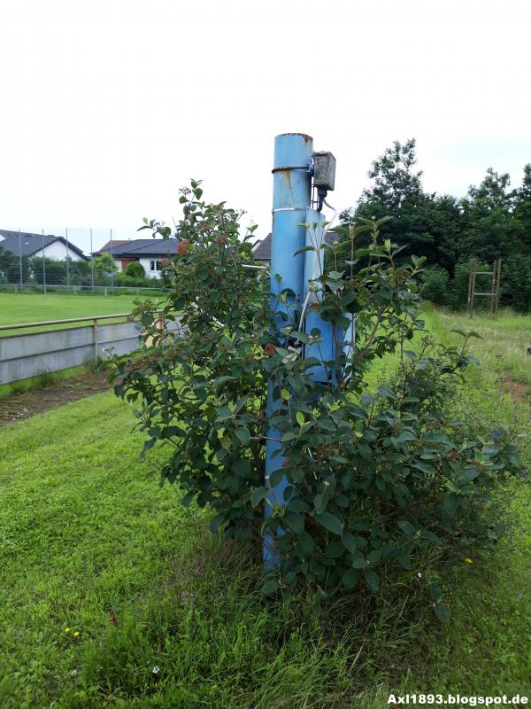 Sportplatz am Wasserturm - Böhl-Iggelheim