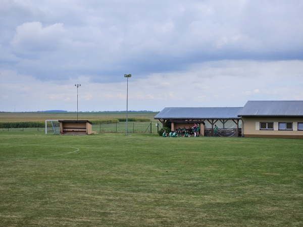 Boisko Sportowe Sokół Boguchwałów - Boguchwałów