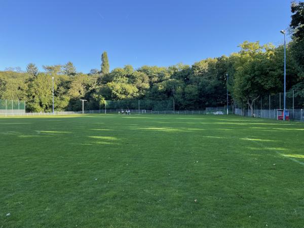 Sportanlage Bierbrauerweg Platz 3 - Offenbach/Main-Bieber