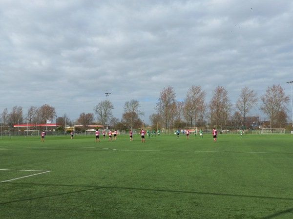 Sportpark Irislaan veld 5 - Vlissingen 