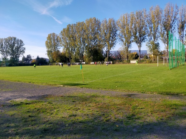 Stadion Górniczy przy ZSZiO w Lubinie - Lubin
