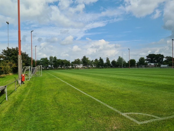 Sportpark De Bosk veld 2-HB - Achtkarspelen-Harkema