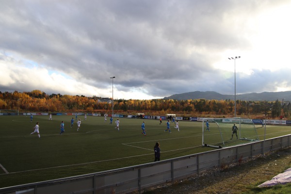 COOP Arena - Alta