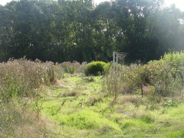Sportanlage Eisenhüttenstraße - Salzgitter-Thiede-Steterburg