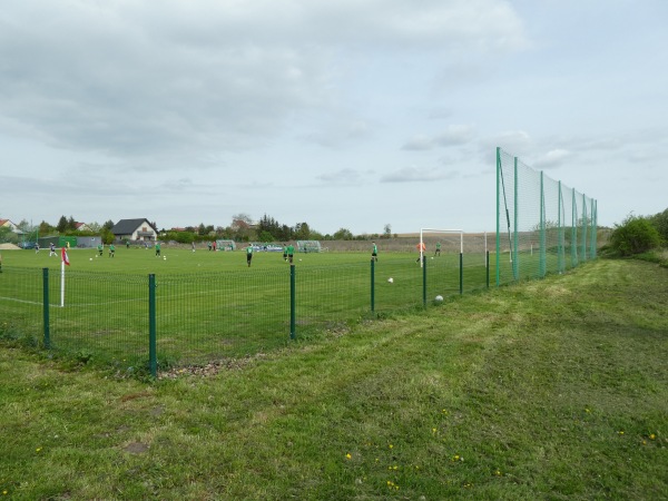 Boisko Zieloni Wilczkowice - Wilczkowice