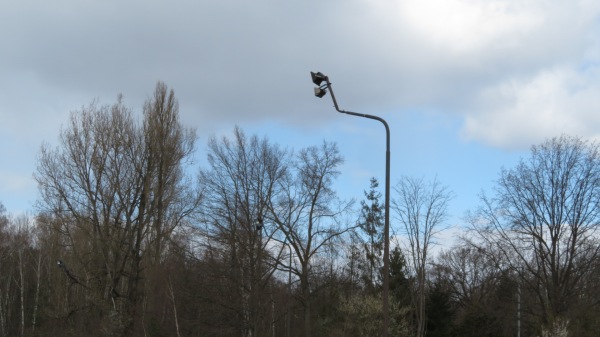 Sportforum Lauchhammer-Ost Platz 2 - Lauchhammer-Ost