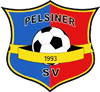 Wappen Pelsiner SV 93  53890