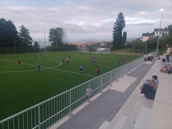 Sportplatz Cholenmoos - Oberrieden