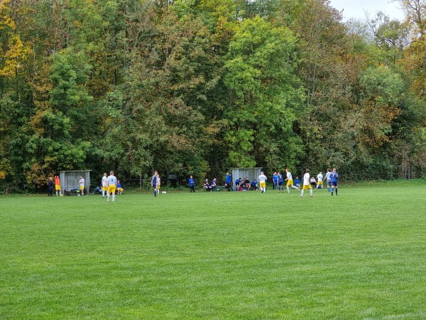 Sportanlage Neue Linie Platz 2 - Leipzig-Connewitz
