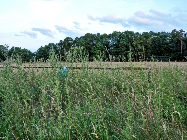 Sportplatz Rohr - Blankenheim/Ahr-Rohr