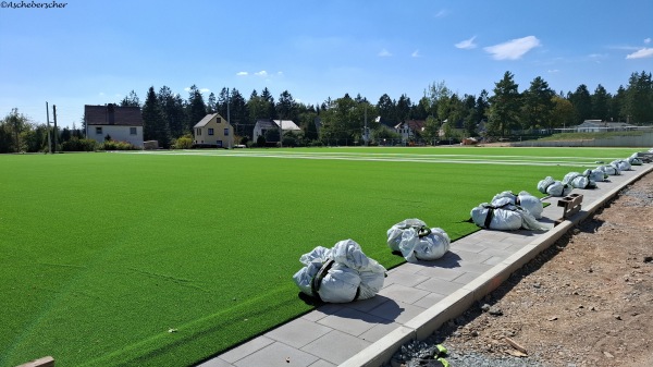 Waldstadion Nebenplatz - Rosenbach/Vogtland-Syrau