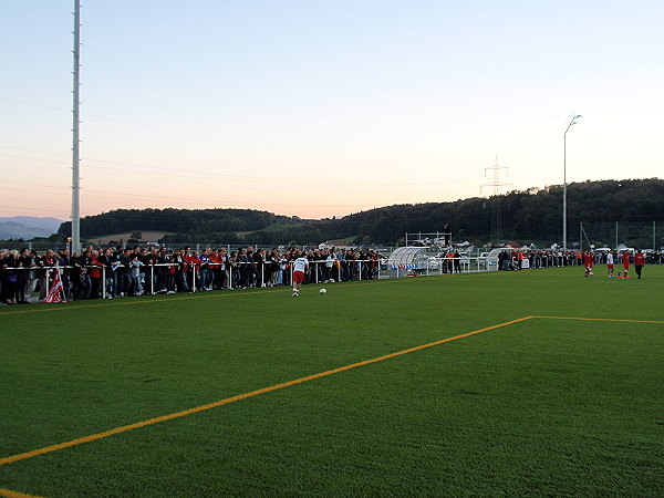 DietachArena - Dietach