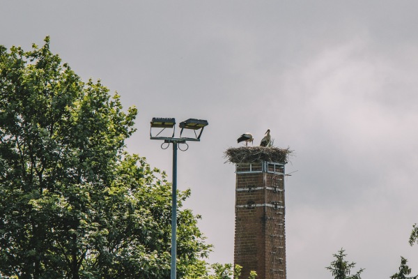Sportpark an der Reichskrone Platz 2 - Altmittweida