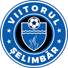 Wappen ehemals ACS Viitorul Șelimbăr  129408