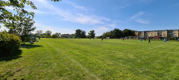 Boisko w  Raków - Raków