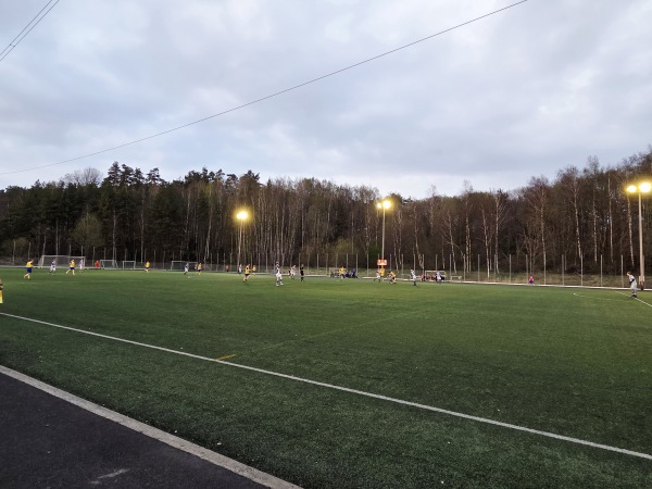 Flodala IP Konstgräs - Floda