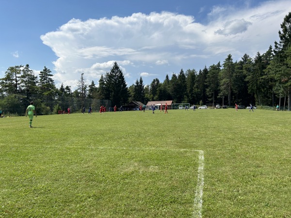 Sportplatz am Silberberg - Birgland-Fürnried