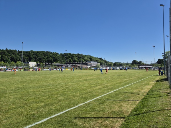 Sportplatz Staadfeld - Wangen an der Aare