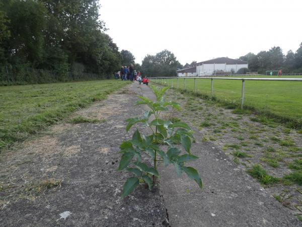 Sportanlage Jahnstraße - Aerzen-Groß Berkel